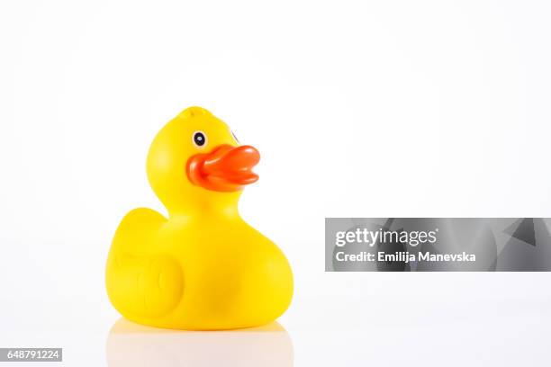 yellow plastic duck - patito fotografías e imágenes de stock