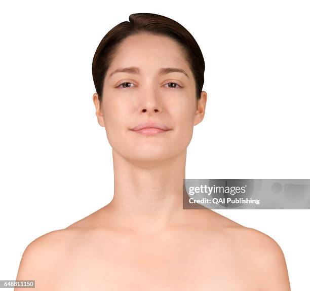 49 Morphology (Anatomy) Stock Photos, High Biology Diagrams