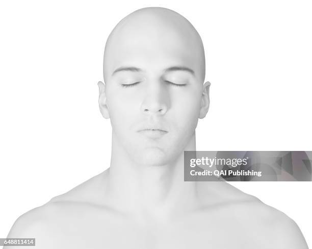 49 Morphology (Anatomy) Stock Photos, High Biology Diagrams