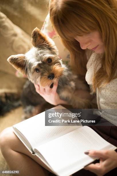 woman reading a book on a sofa with her dog - adonis shropshire stock pictures, royalty-free photos & images