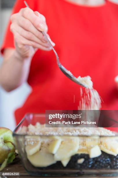 a woman prepares a fruit crumble pudding. sprinkling crumble topping. - pudding crumble photos et images de collection