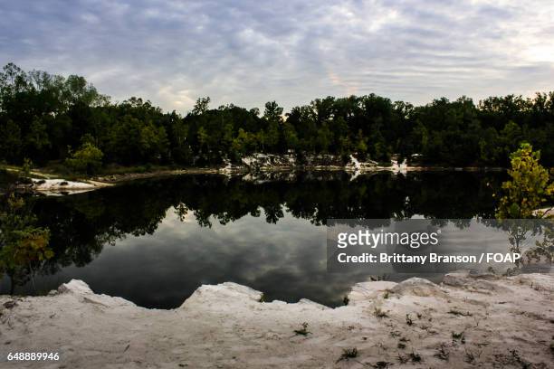 trees reflecting on river - brittany branson stockfoto's en -beelden