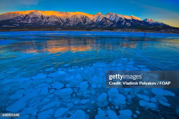 beautiful frozen abraham lake in the morning - vladimir polyakov foto e immagini stock