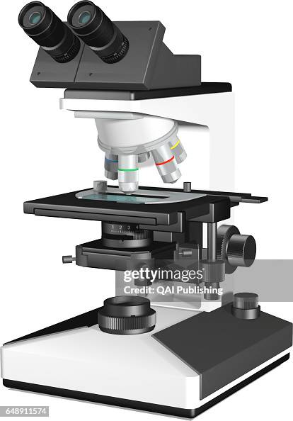 Binocular microscope Binocular microscope
