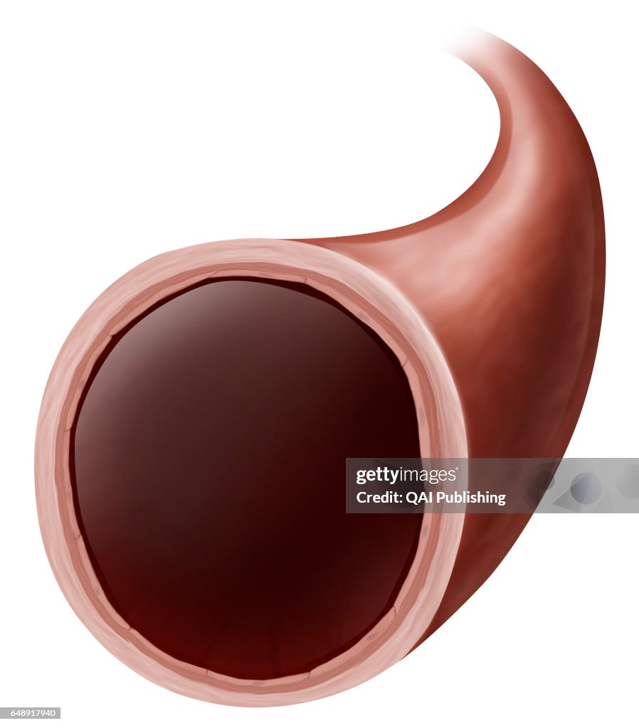 Vasodilatation