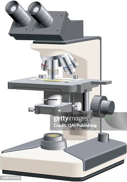 Binocular microscope Binocular microscope