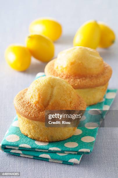 lemon cake - lemon cake stock pictures, royalty-free photos & images