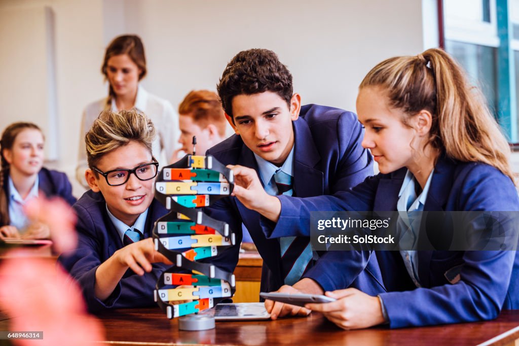 Wissenschaft-Unterricht für ihre Schüler