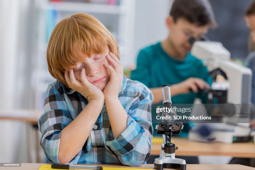 Elementary schoolboy naps in science class