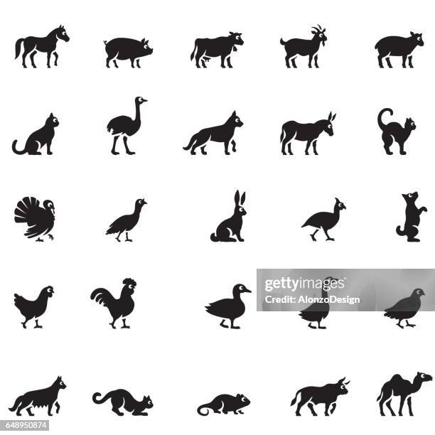 domestic animals icon set - black goat stock illustrations