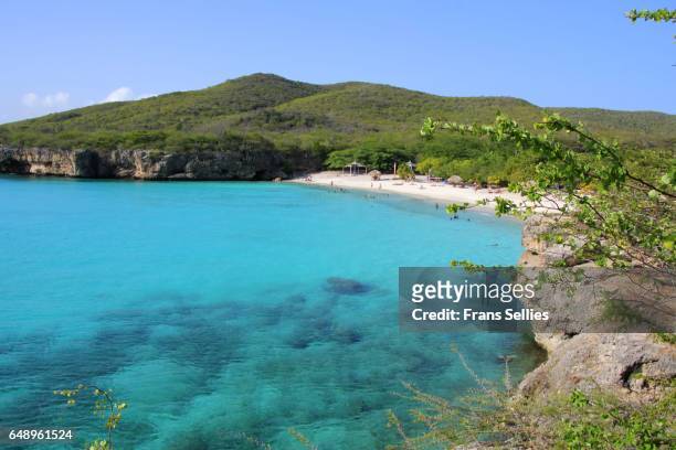 nice beach at grote knip (playa abou) - knip beach stock pictures, royalty-free photos & images