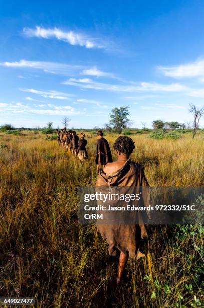 Family of San Bushmen in leather animal skins walking through a grassland at dawn to hunt for breakfast.