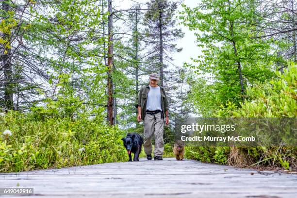 seniors taking on the world - murray mccomb stock pictures, royalty-free photos & images