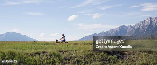 distant woman bicycles across mountain meadow - distant people stock pictures, royalty-free photos & images