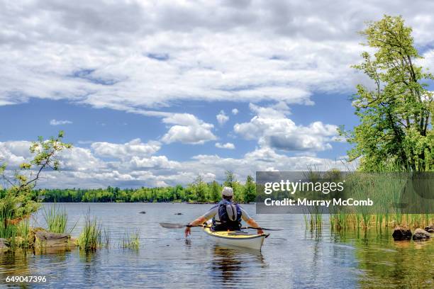 seniors taking on the world - murray mccomb stock pictures, royalty-free photos & images