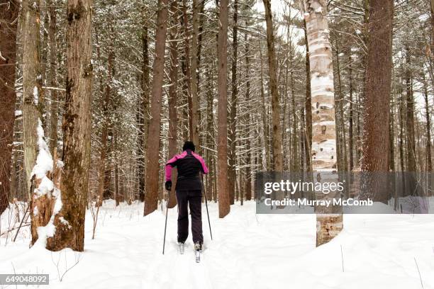 seniors taking on the world - murray mccomb stock pictures, royalty-free photos & images