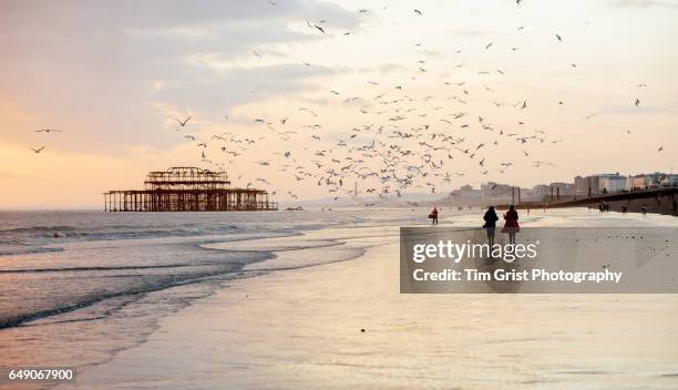 the west pier brighton at sunset - uk coastline stock pictures, royalty-free photos & images