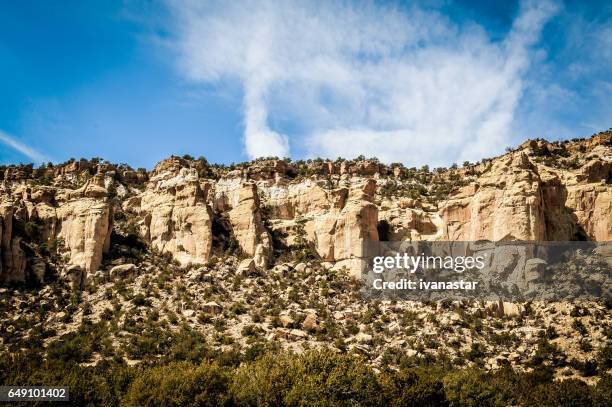 el malpais national monument, new mexico - lava plain stock pictures, royalty-free photos & images