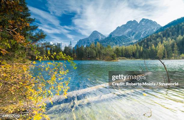 lake weissensee carinthia tyrol austria - carinthia 個照片及圖片檔