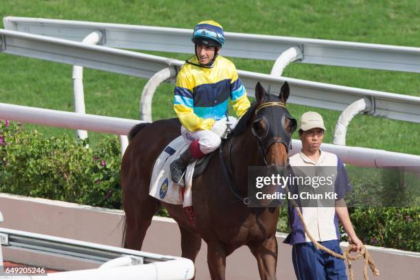 Jockey Olivier Doleuze riding Equity Doctrine wins Race 3 Panasonic Bread Maker Handicap at Sha Tin racecourse on November 12, 2016 in Hong Kong,...