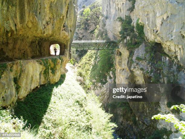 walker walking the route of the cares to edge of the cliffs between asturas and leon - picos de europe stock pictures, royalty-free photos & images