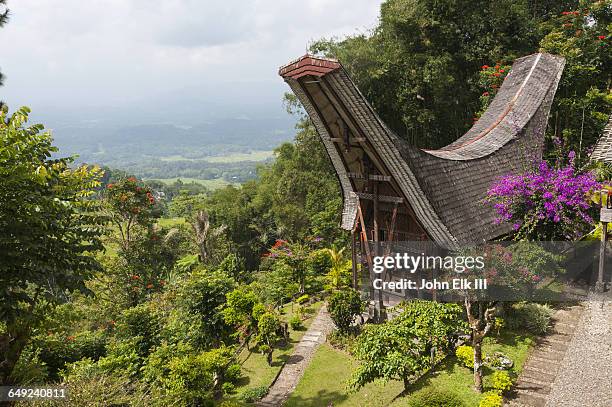 torajan houses (tongkonan) - sulawesi stock-fotos und bilder