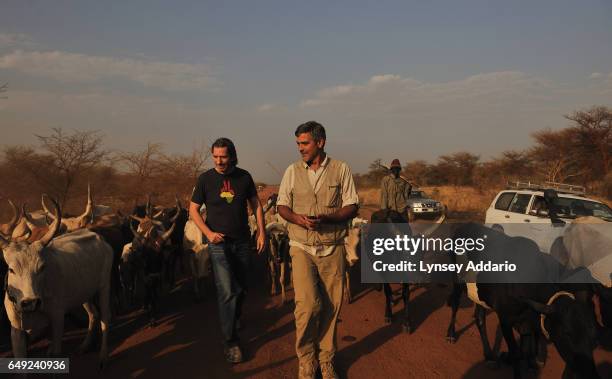 Actor George Clooney and American human rights activist John Prendergast walk through a herd of cattle along a road outside of the contested region...