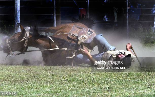 Horseman and his horse fall to the ground in Carmen de Areco City, in Buenos Aires province, Argentina, 26 January 2004. In the 'jineteadas' horsemen...