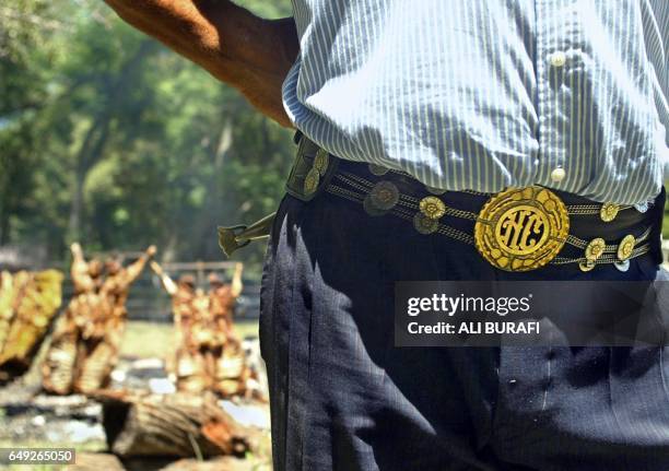 Gaucho displays his wide belt decorated with gold and silver motifs during the 'jineteadas' in Carmen de Areco City, in Buenos Aires province,...