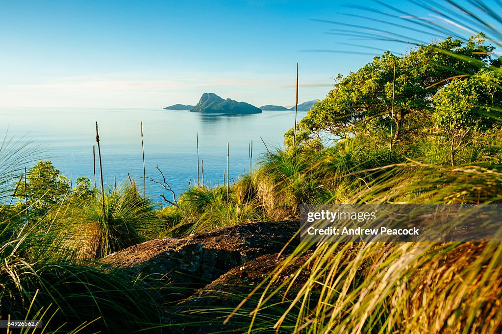 Pentecost Island from South East Head trail