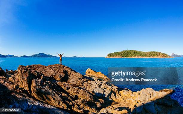 a woman enjoys the view to perseverance island - hamilton island stockfoto's en -beelden