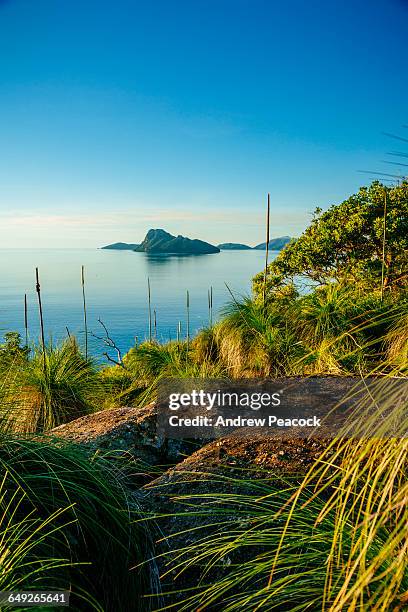 pentecost island from south east head trail - pentecostes fotografías e imágenes de stock