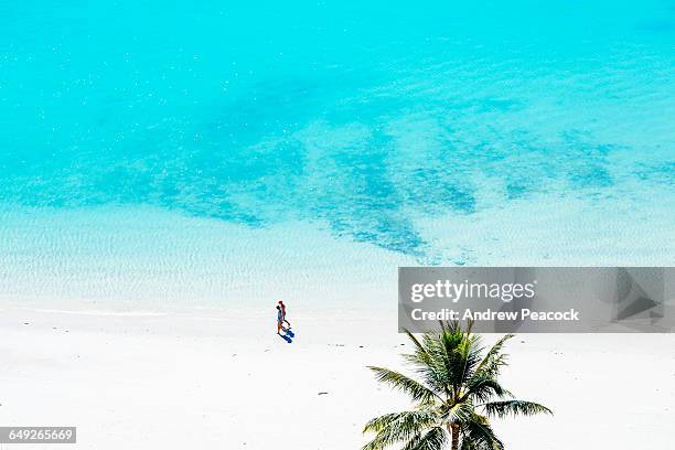 a couple walking on catseye beach - couple at beach sunny stock pictures, royalty-free photos & images