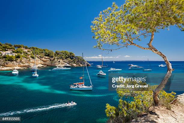 yachts in cala portals vells - isole baleari foto e immagini stock