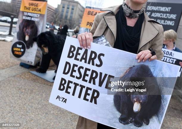 Support Peta Peta Champion Photos and Premium High Res Pictures - Getty Images