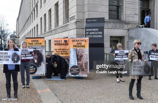 Support Peta Peta Champion Photos and Premium High Res Pictures - Getty Images
