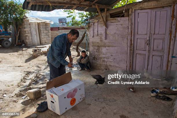 Mohammed Emir stands over his eight pigeons he brought over from Syria after crossing into Hacipasa, and clipping their wings with Scotch tape, in...