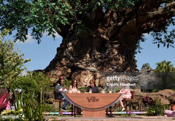 In this handout photo provided by Disney Resorts, hosts Whoopi Goldberg, Sunny Hostin, Joy Behar, Sara Haines and Jedediah Bila on ABC's "The View"...