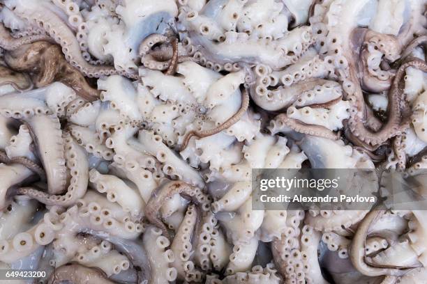 octopus on sale at market in serres, greece - alexandra pavlova foto e immagini stock