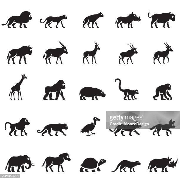 ilustraciones, imágenes clip art, dibujos animados e iconos de stock de iconos de animales africano - búfalo africano