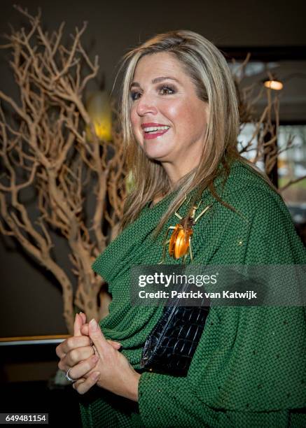 Queen Maxima of The Netherlands attends a meeting at Foundation Single Supermom on International Women's Day on March 8, 2017 in Amsterdam,...