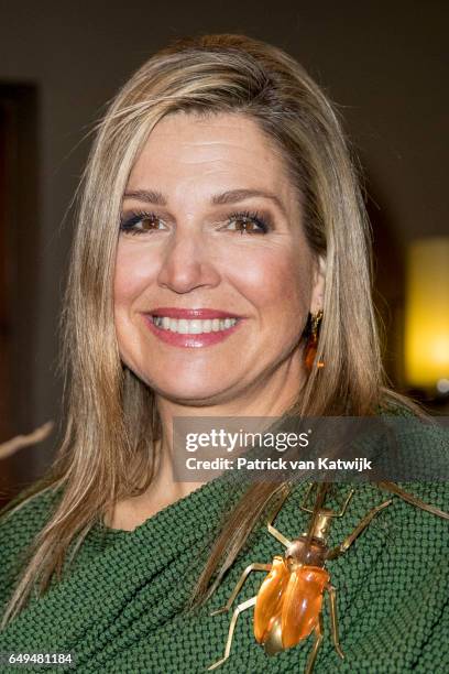 Queen Maxima of The Netherlands attends a meeting at Foundation Single Supermom on International Women's Day on March 8, 2017 in Amsterdam,...