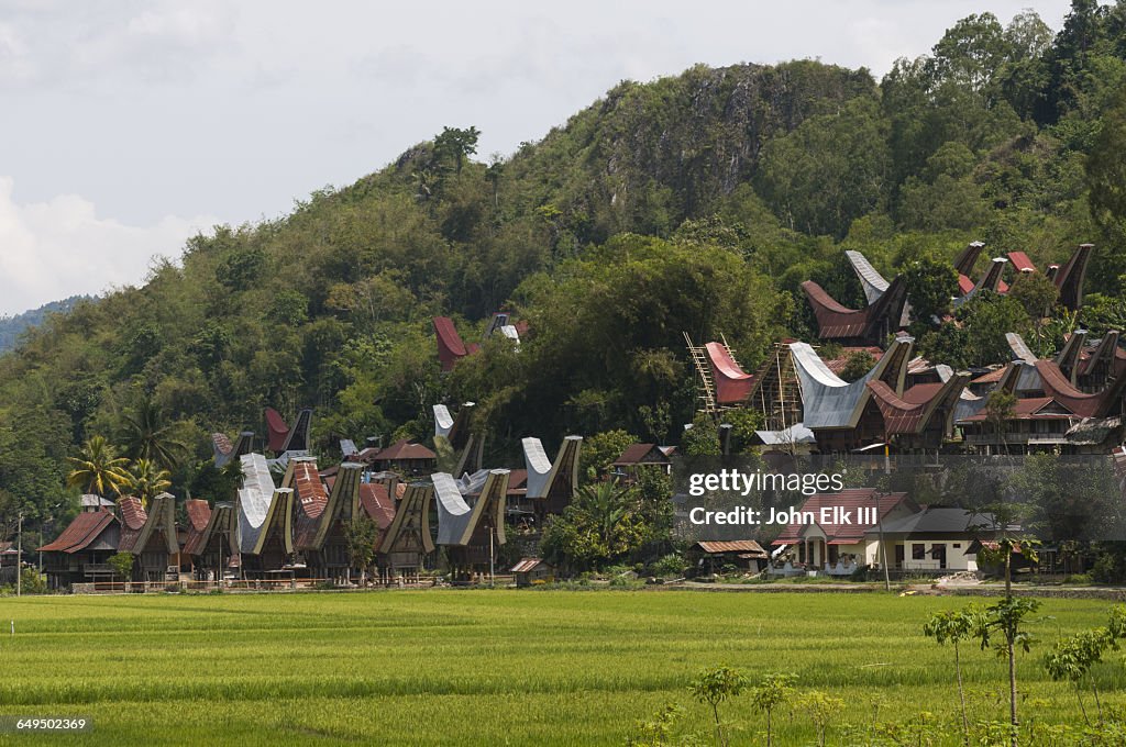 Bori village with Torajan houses (tongkonan)