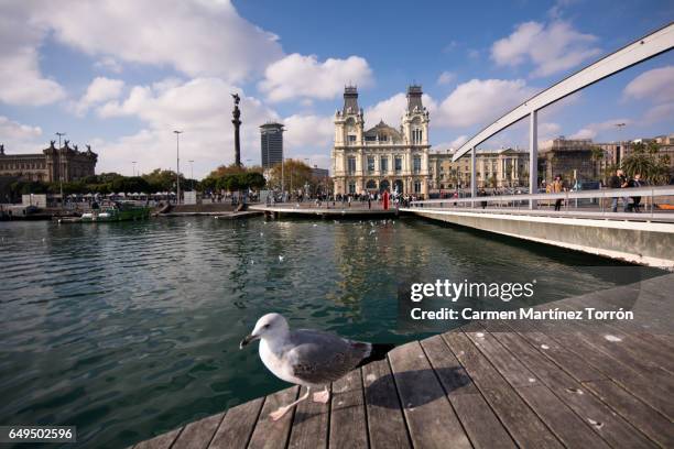rambla de mar, port vell, barcelona, spain. - rambla del mar stock-fotos und bilder