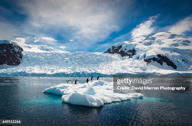 summertime - antarctica sunset stock pictures, royalty-free photos & images