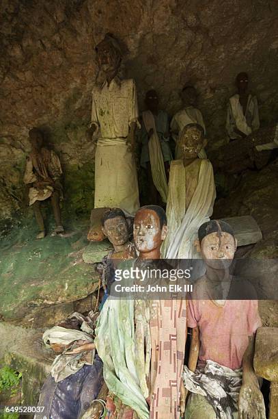 torajan cliff burial effigy figures (tau tau) - toraja stock-fotos und bilder