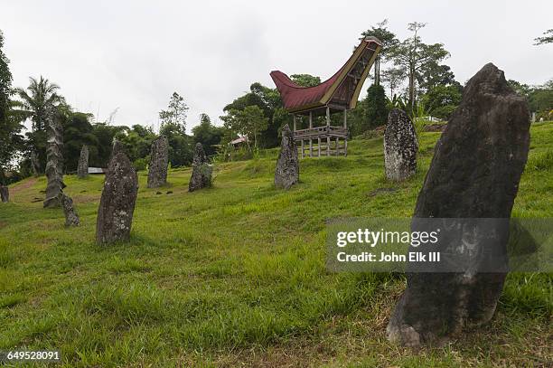 ceremonial ground with megalithic rante - menhir photos et images de collection