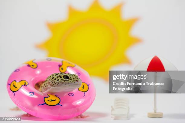 Inflatable Pool Shop Photos and Premium High Res Pictures - Getty Images