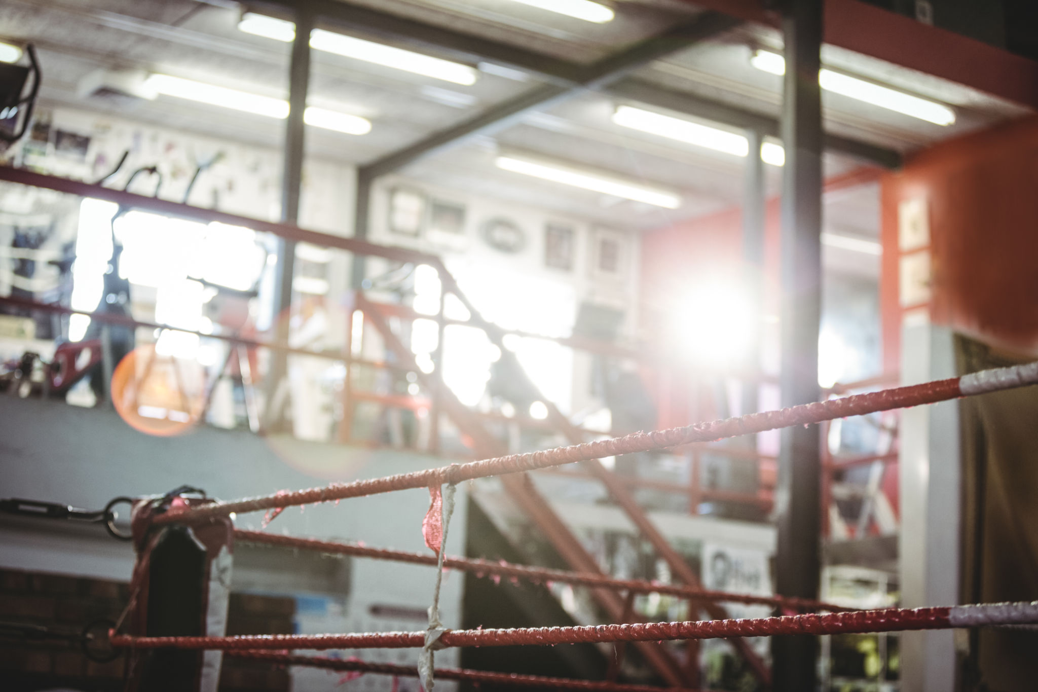 local boxing gym