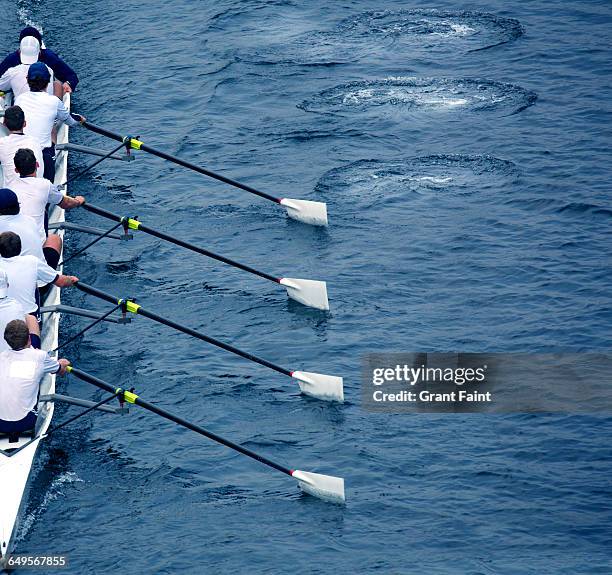 rowing eights. - wrikken roeisport stockfoto's en -beelden